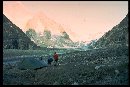 Vergrern: Nesthorn