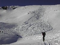 Vergrern: Schneebrett unter Rwlishore