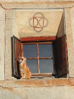 Vergrern: In Guarda