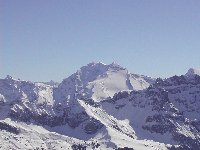 Vergrern: Altels
